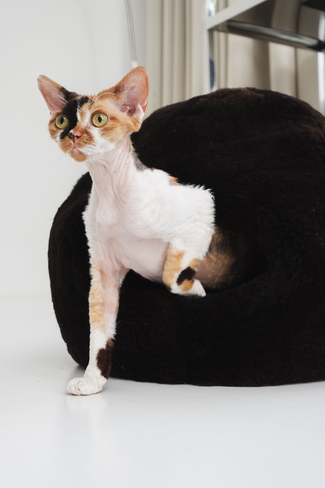 Nest Natural Sheepskin Pet Bed - Brown