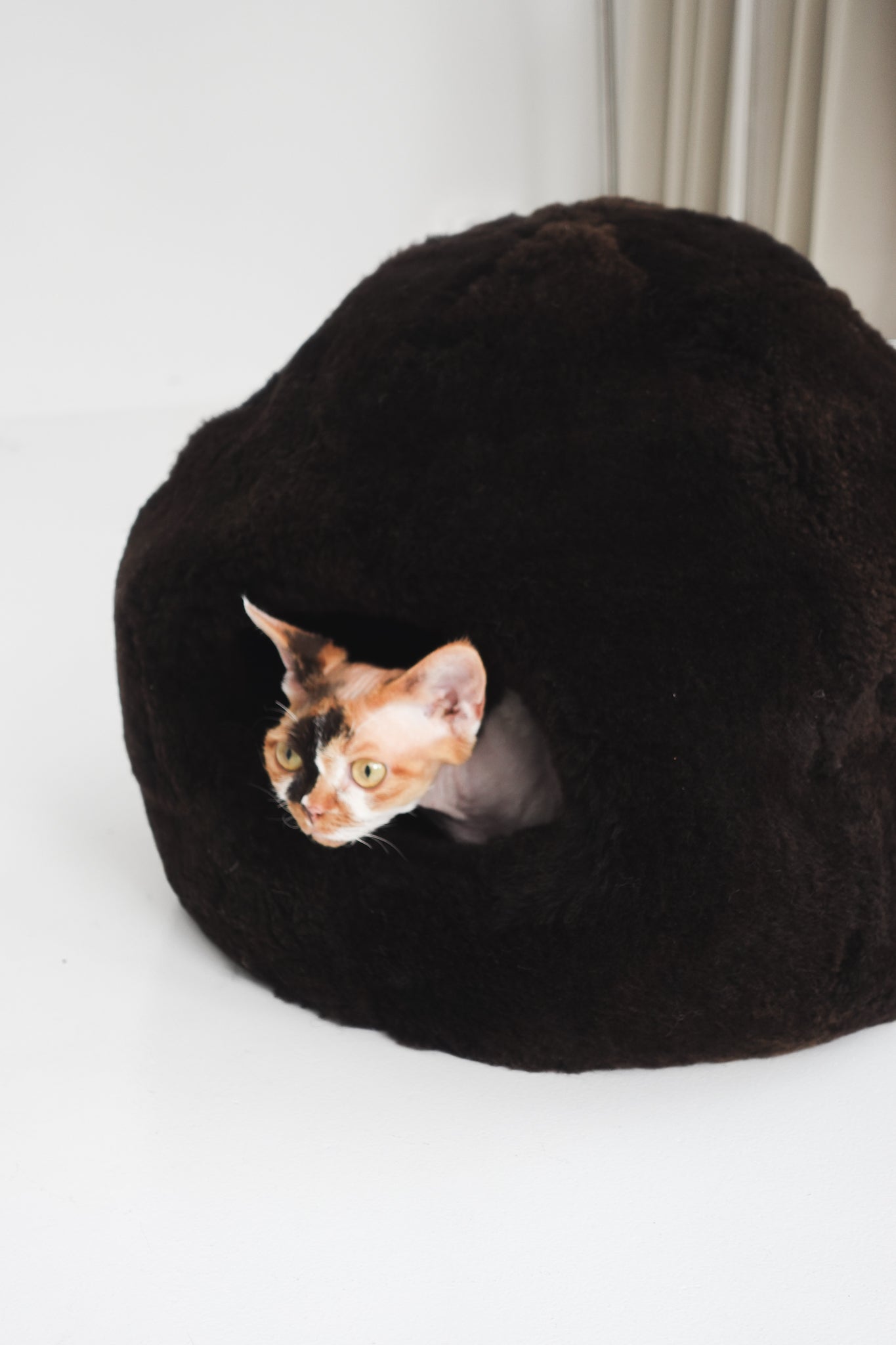 Nest Natural Sheepskin Pet Bed - Brown