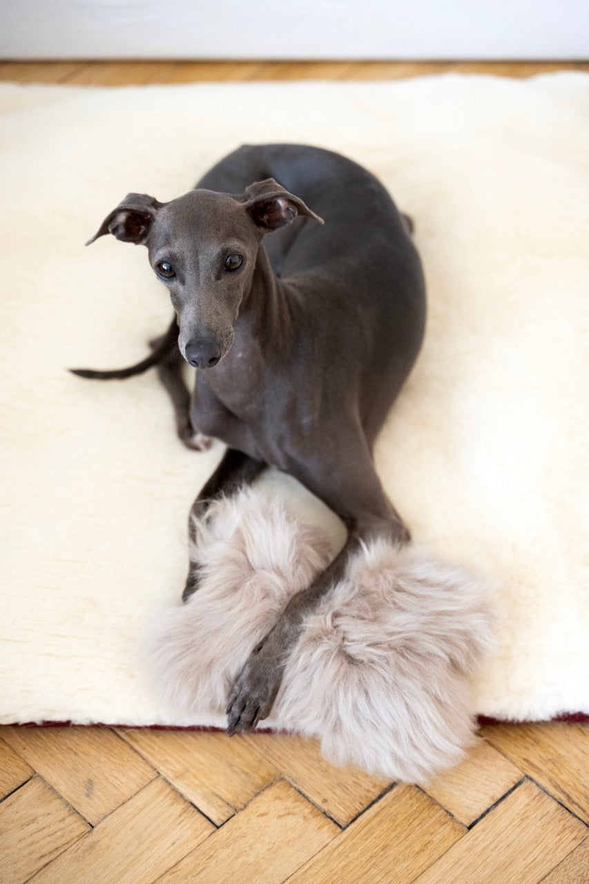 Natural Sheepskin Dog Toy - Bone - Beige-1